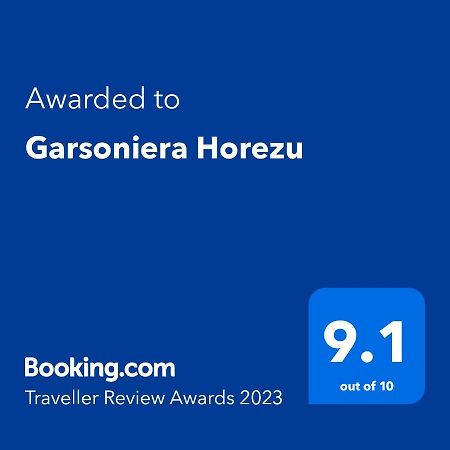 Garsoniera Horezu Apartment ภายนอก รูปภาพ