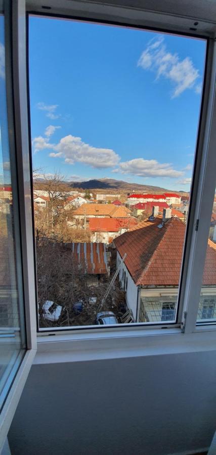 Garsoniera Horezu Apartment ภายนอก รูปภาพ