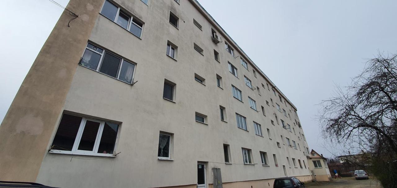 Garsoniera Horezu Apartment ภายนอก รูปภาพ