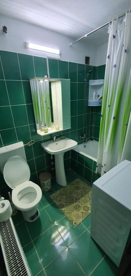 Garsoniera Horezu Apartment ภายนอก รูปภาพ